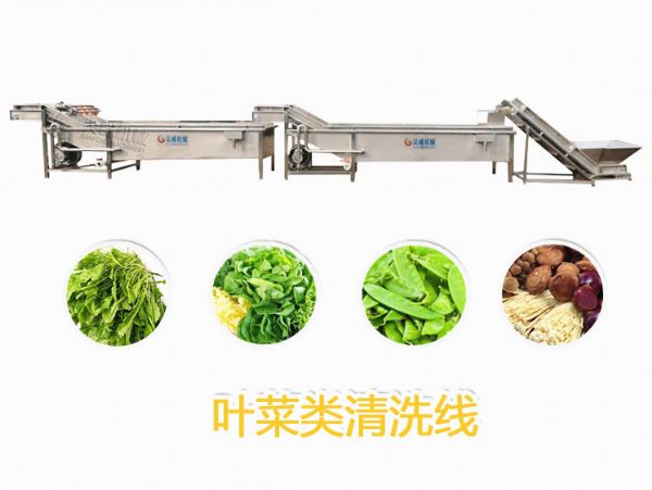 葉菜類清洗線