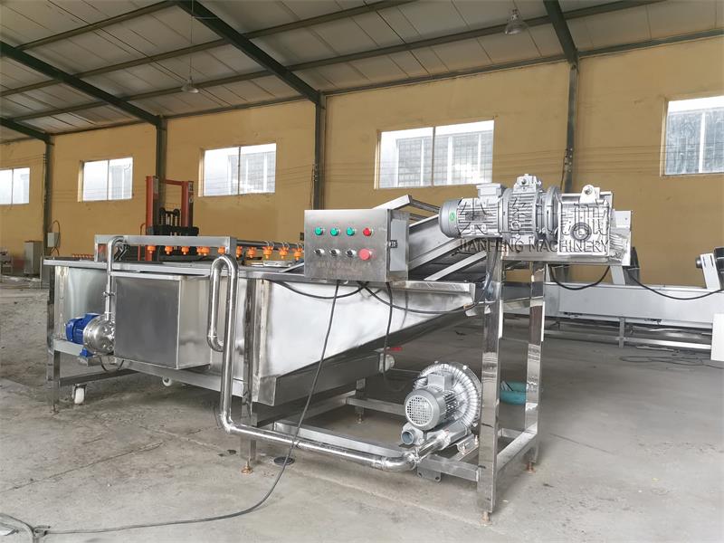 小型氣泡洗菜機(jī)