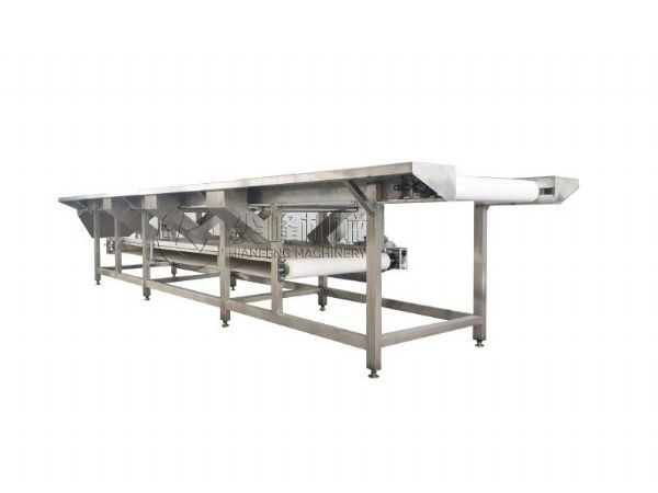 皮帶雙層輸送機