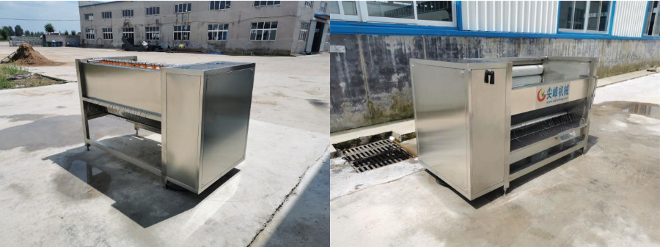 球根莖類去皮清洗機(jī)器設(shè)備