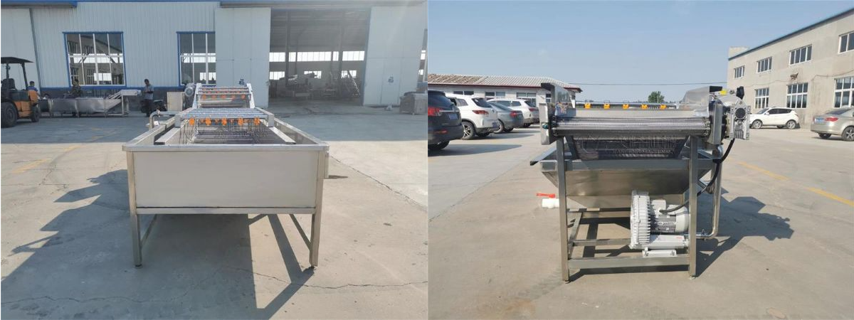 葉菜類噴淋氣泡清洗機(jī)器設(shè)備